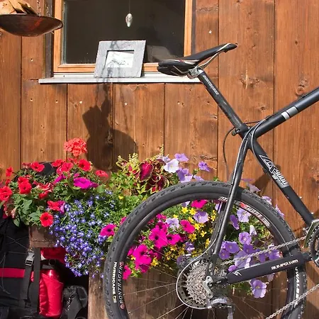 Guest house Almhutte & Skihutte Kohlerhaus Stuben am Arlberg